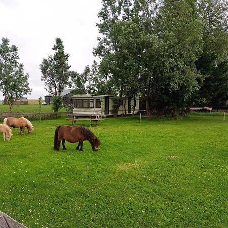De Boerenskuur..Chalet.. Assendelft Eksteriør bilde