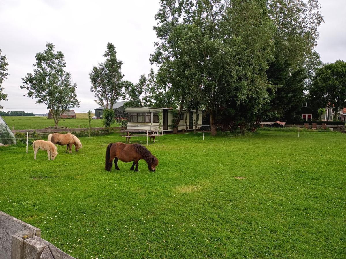 De Boerenskuur..Chalet.. Assendelft Eksteriør bilde